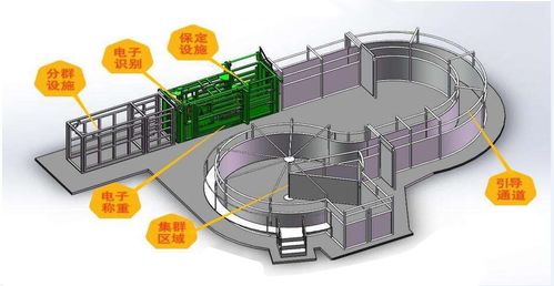 基于物聯(lián)網(wǎng)的畜禽智能養(yǎng)殖監(jiān)控系統(tǒng)與智能水務系統(tǒng)開發(fā)