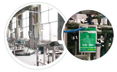 智能驅(qū)動(dòng)，水務(wù)革新 重慶樹榮長(zhǎng)壽區(qū)無(wú)人化新工廠正式投產(chǎn)